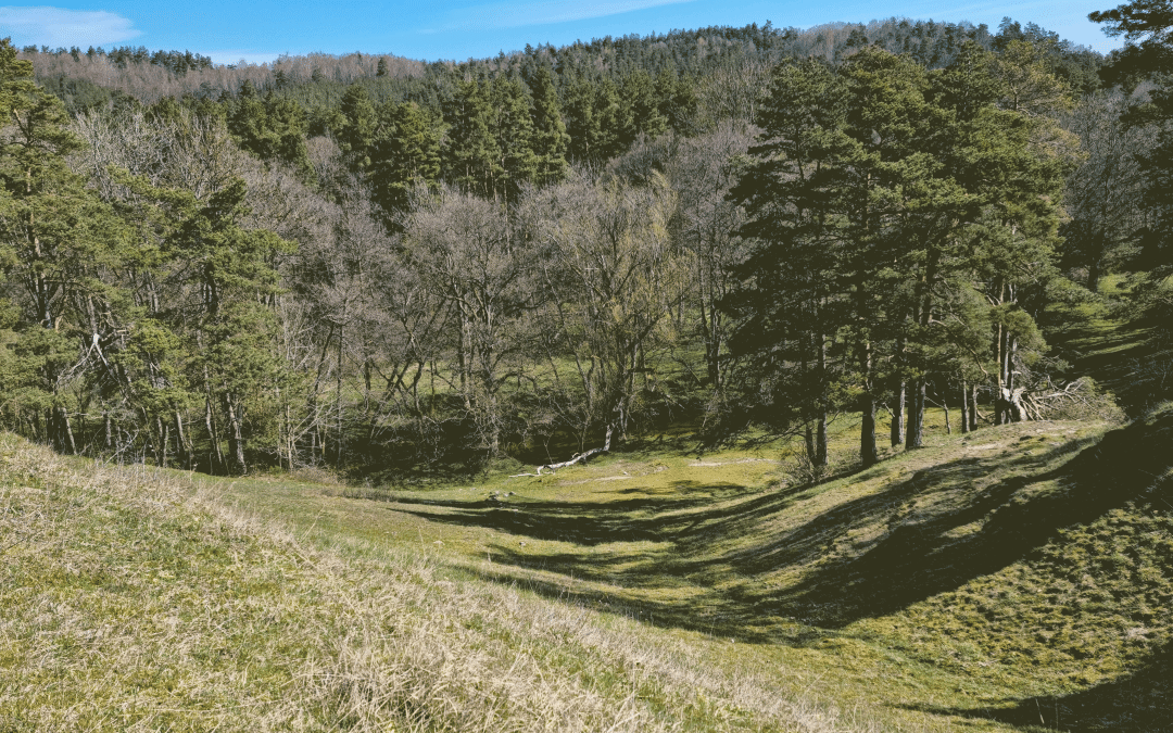 IEG workshop: Slänter/Bankar Partialkoefficienter fokus temporära skeden och laster